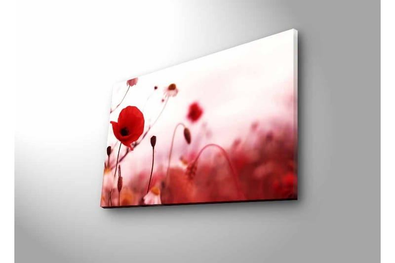 Väggdekor LED-belysning Canvas Målning - Inredning - Tavlor & konst - Canvastavlor