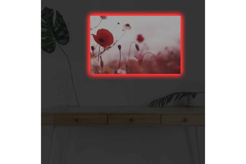 Väggdekor LED-belysning Canvas Målning - Inredning - Tavlor & konst - Canvastavlor
