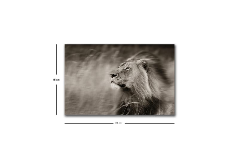 Väggdekor LED-belysning Canvas Målning - Inredning - Tavlor & konst - Canvastavlor