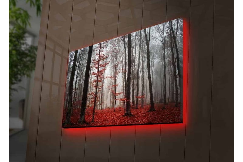 Väggdekor LED-belysning Canvas Målning - Inredning - Tavlor & konst - Canvastavlor