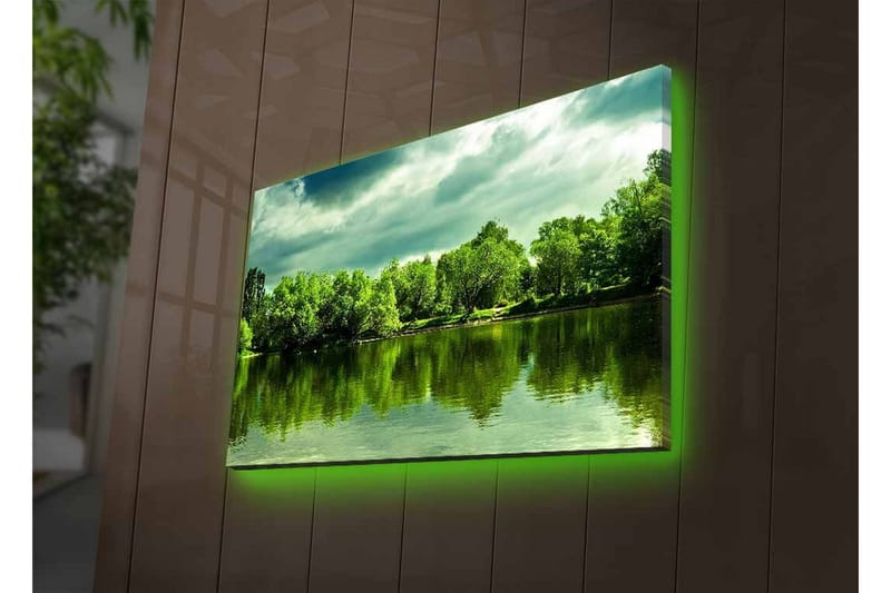 Väggdekor LED-belysning Canvas Målning - Inredning - Tavlor & konst - Canvastavlor