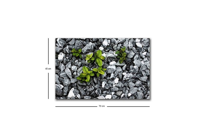 Väggdekor LED-belysning Canvas Målning - Inredning - Tavlor & konst - Canvastavlor