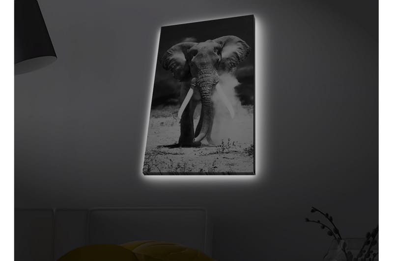 Väggdekor LED-belysning Canvas Målning - Inredning - Tavlor & konst - Canvastavlor
