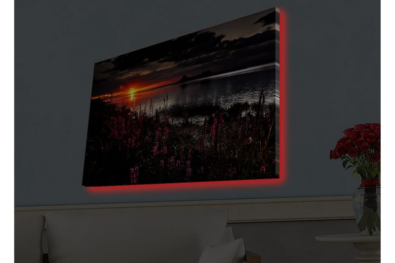 Väggdekor LED-belysning Canvas Målning - Inredning - Tavlor & konst - Canvastavlor
