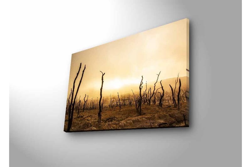 Väggdekor LED-belysning Canvas Målning - Inredning - Tavlor & konst - Canvastavlor