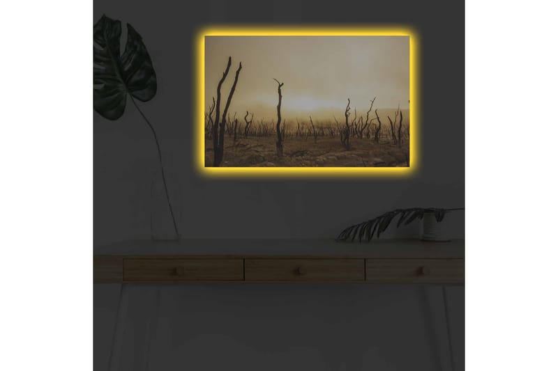 Väggdekor LED-belysning Canvas Målning - Inredning - Tavlor & konst - Canvastavlor