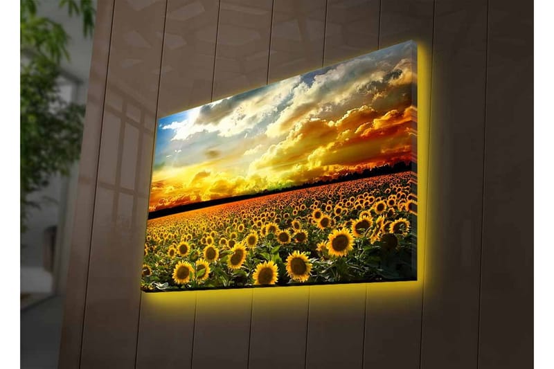 Väggdekor LED-belysning Canvas Målning - Inredning - Tavlor & konst - Canvastavlor