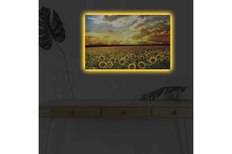 Väggdekor LED-belysning Canvas Målning - Inredning - Tavlor & konst - Canvastavlor