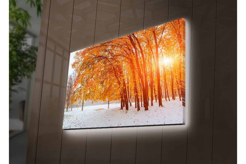 Väggdekor LED-belysning Canvas Målning - Inredning - Tavlor & konst - Canvastavlor