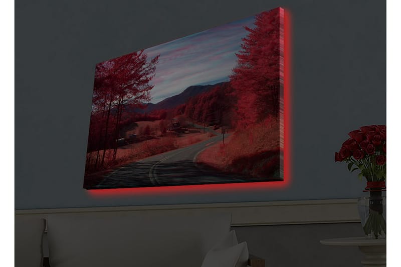 Väggdekor LED-belysning Canvas Målning - Inredning - Tavlor & konst - Canvastavlor