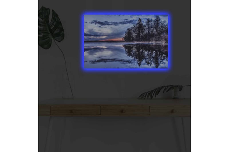 Väggdekor LED-belysning Canvas Målning - Inredning - Tavlor & konst - Canvastavlor