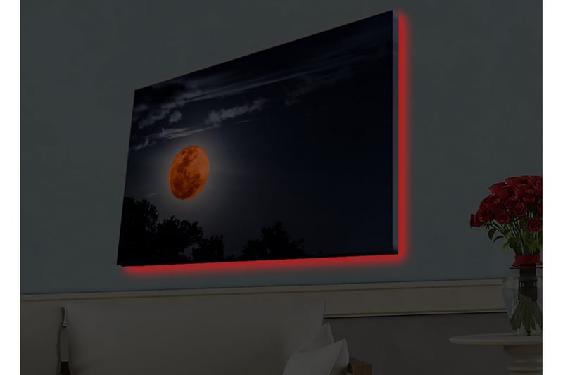 Väggdekor LED-belysning Canvas Målning - Inredning - Tavlor & konst - Canvastavlor