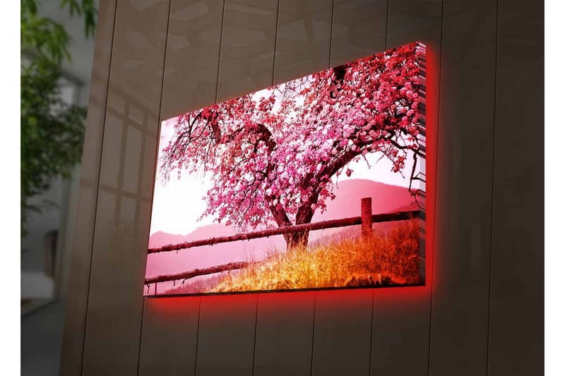 Väggdekor LED-belysning Canvas Målning - Inredning - Tavlor & konst - Canvastavlor