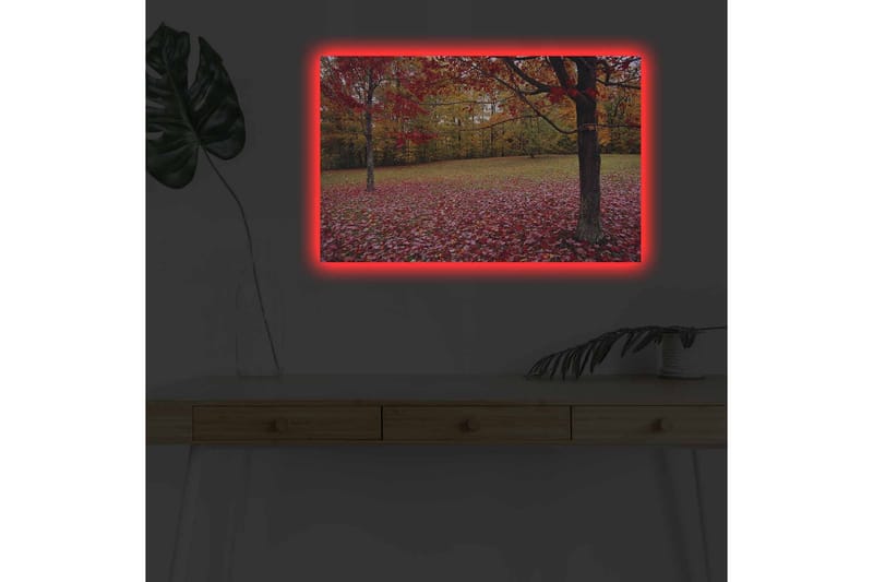 Väggdekor LED-belysning Canvas Målning - Inredning - Tavlor & konst - Canvastavlor
