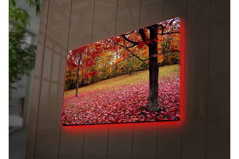 Väggdekor LED-belysning Canvas Målning - Inredning - Tavlor & konst - Canvastavlor