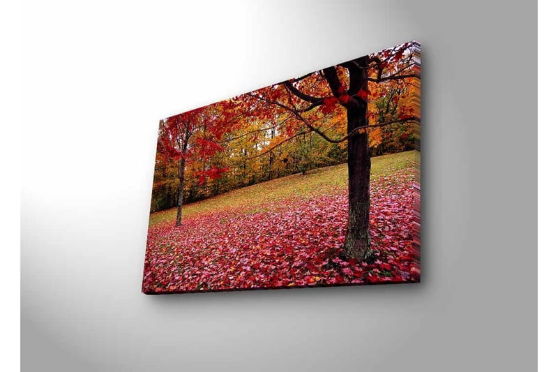 Väggdekor LED-belysning Canvas Målning - Inredning - Tavlor & konst - Canvastavlor