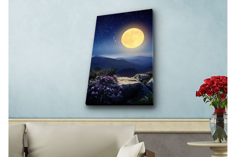 Väggdekor LED-belysning Canvas Målning - Inredning - Tavlor & konst - Canvastavlor