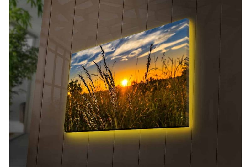 Väggdekor LED-belysning Canvas Målning - Inredning - Tavlor & konst - Canvastavlor