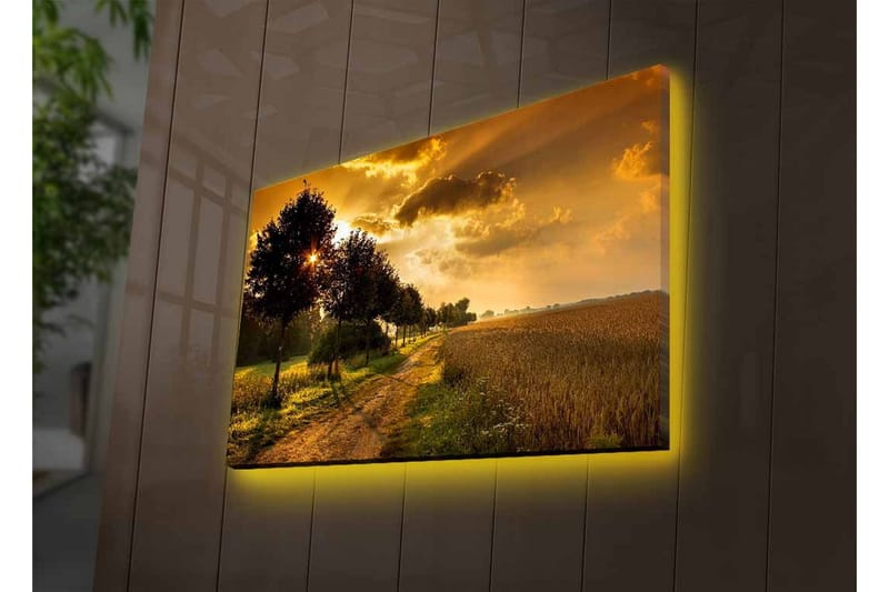 Väggdekor LED-belysning Canvas Målning - Inredning - Tavlor & konst - Canvastavlor