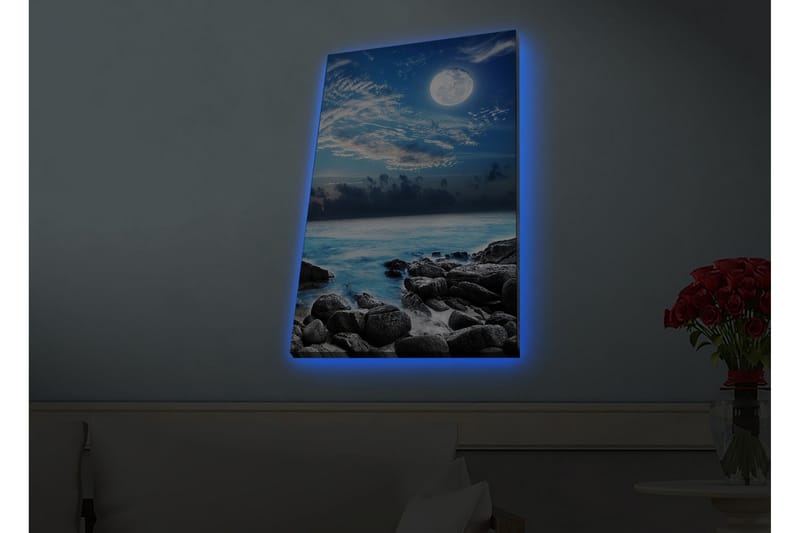 Väggdekor LED-belysning Canvas Målning - Inredning - Tavlor & konst - Canvastavlor