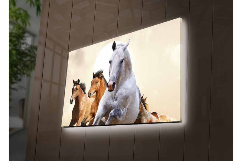Väggdekor LED-belysning Canvas Målning - Inredning - Tavlor & konst - Canvastavlor
