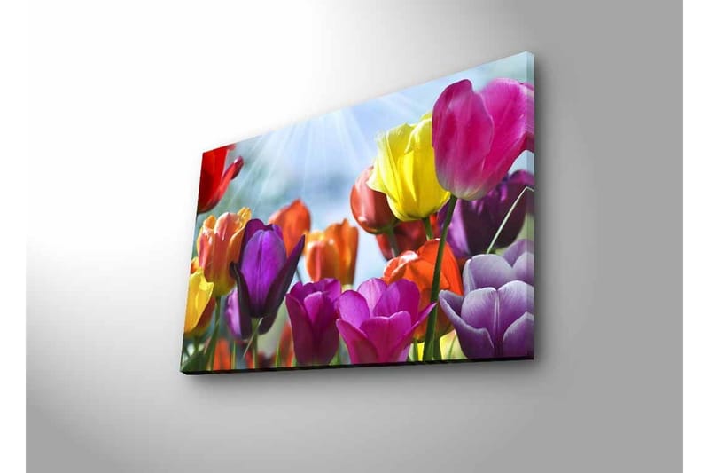 Väggdekor LED-belysning Canvas Målning - Inredning - Tavlor & konst - Canvastavlor