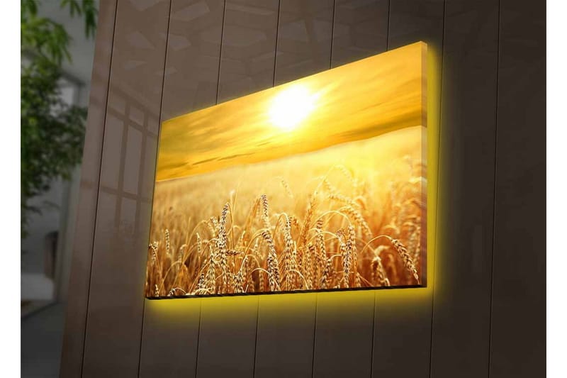 Väggdekor LED-belysning Canvas Målning - Inredning - Tavlor & konst - Canvastavlor