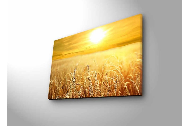Väggdekor LED-belysning Canvas Målning - Inredning - Tavlor & konst - Canvastavlor
