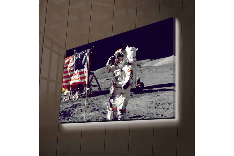 Väggdekor LED-belysning Canvas Målning - Inredning - Tavlor & konst - Canvastavlor