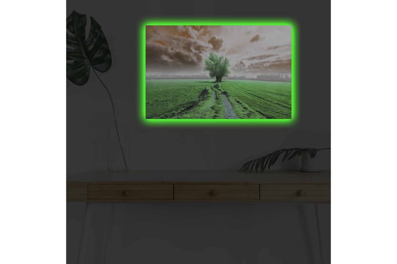 Väggdekor LED-belysning Canvas Målning - Inredning - Tavlor & konst - Canvastavlor