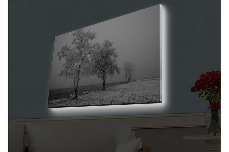 Väggdekor LED-belysning Canvas Målning - Inredning - Tavlor & konst - Canvastavlor