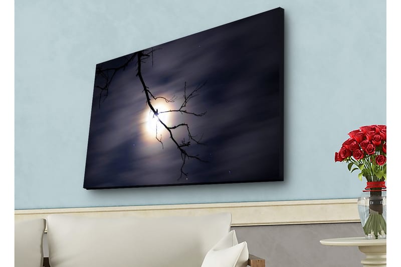 Väggdekor LED-belysning Canvas Målning - Inredning - Tavlor & konst - Canvastavlor
