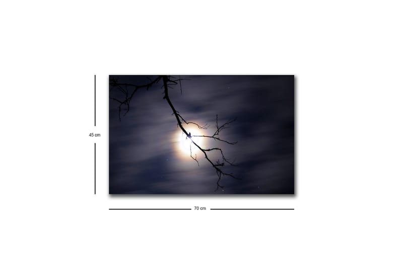 Väggdekor LED-belysning Canvas Målning - Inredning - Tavlor & konst - Canvastavlor