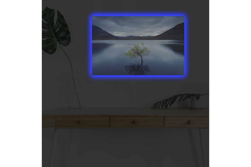 Väggdekor LED-belysning Canvas Målning - Inredning - Tavlor & konst - Canvastavlor