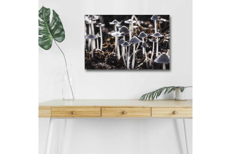 Väggdekor LED-belysning Canvas Målning - Inredning - Tavlor & konst - Canvastavlor