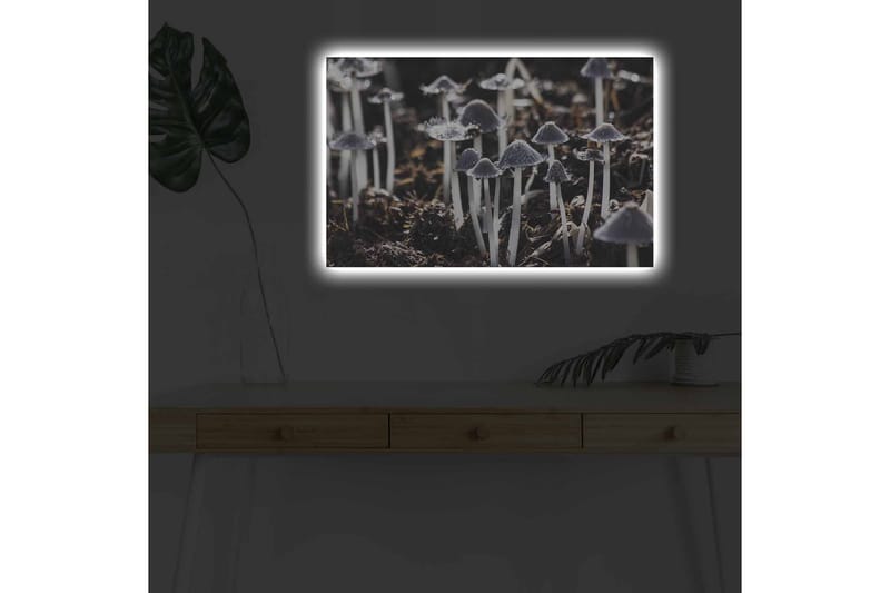 Väggdekor LED-belysning Canvas Målning - Inredning - Tavlor & konst - Canvastavlor