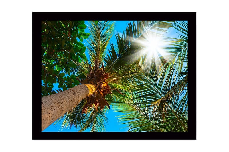 Väggdekor MDF Målning, undefined