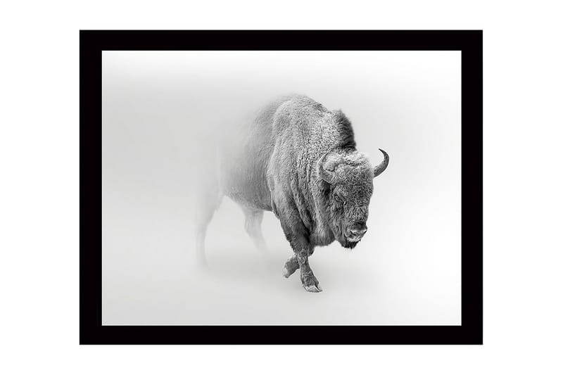 Väggdekor MDF Målning, undefined