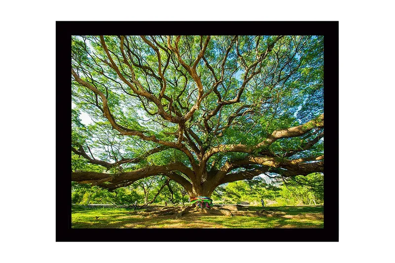 Väggdekor MDF Målning, undefined