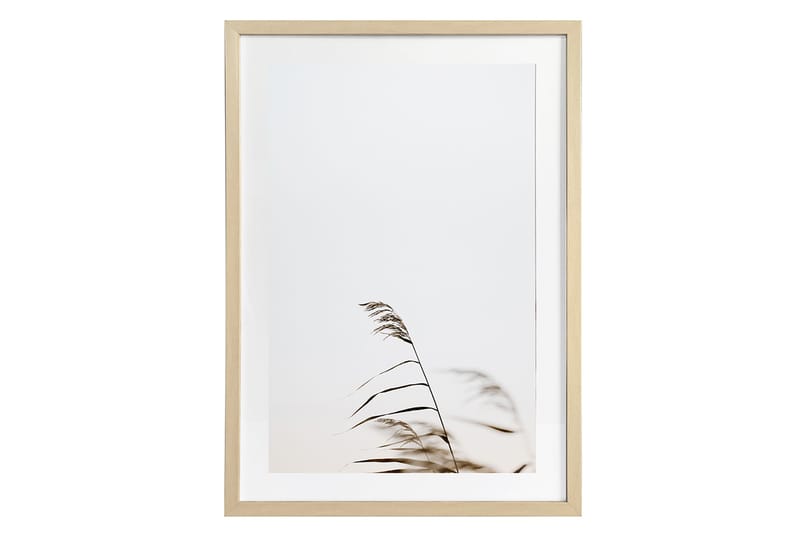 Deco Tavla Grass 1 50x70 cm - Tavlor & konst