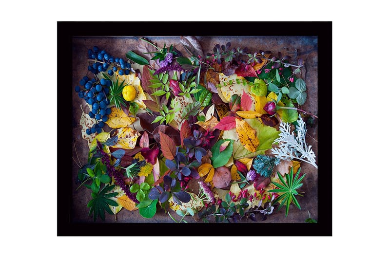 Dekorativ Inramad MDF-målning 41x56 cm - Flerfärgad - Inredning - Tavlor & konst