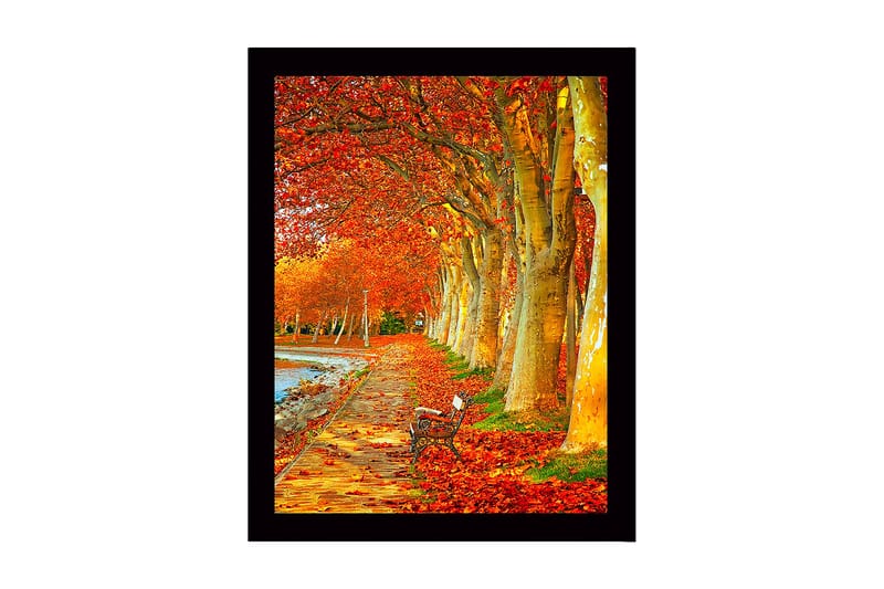 Dekorativ Inramad MDF-målning 41x56 cm, Flerfärgad