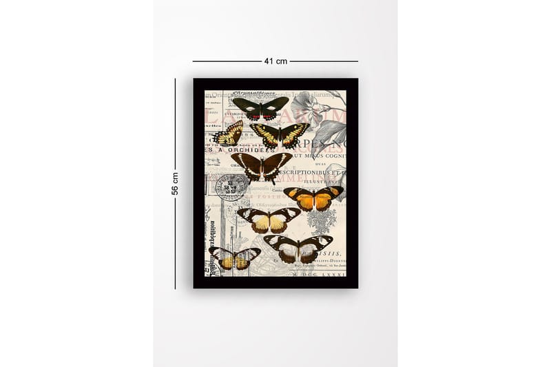 Dekorativ Inramad MDF-målning 41x56 cm - Flerfärgad - Inredning - Tavlor & konst