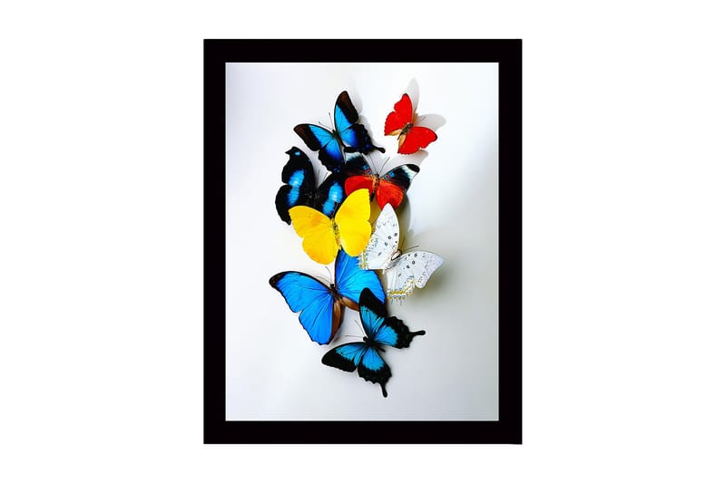 Dekorativ Inramad MDF-målning 41x56 cm, Flerfärgad