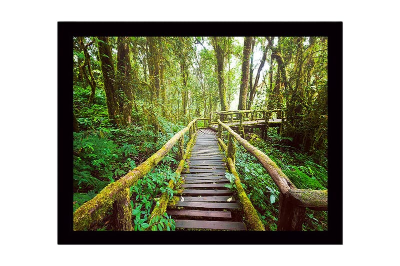 Dekorativ Inramad MDF-målning 41x56 cm, Flerfärgad