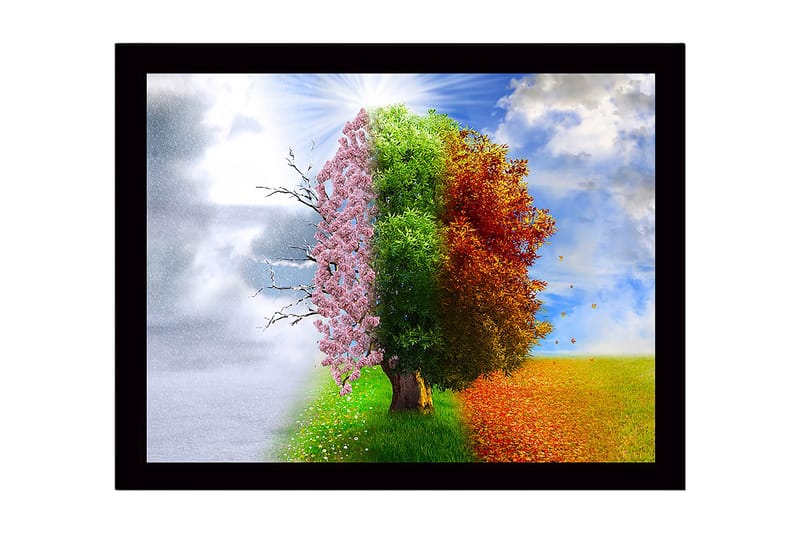 Dekorativ Inramad MDF-målning 41x56 cm, Flerfärgad