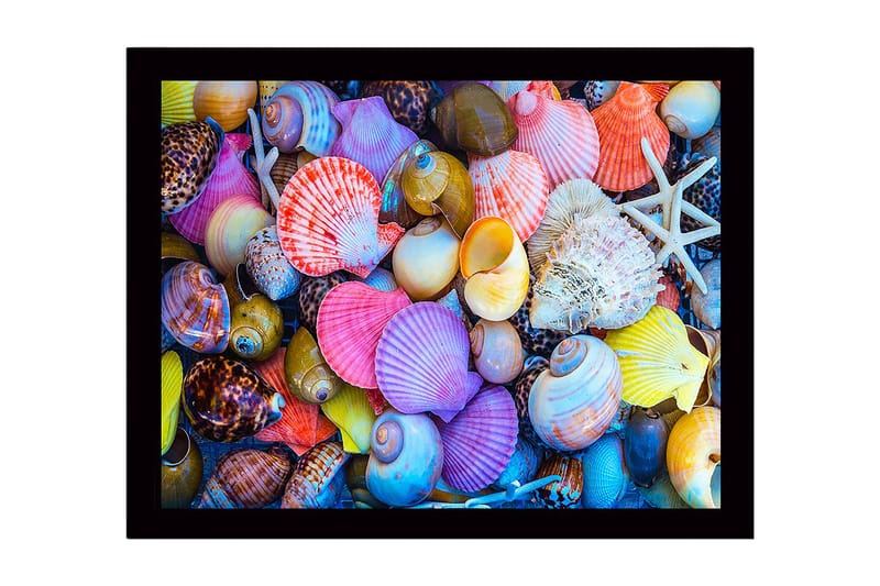 Dekorativ Inramad MDF-målning 41x56 cm, Flerfärgad