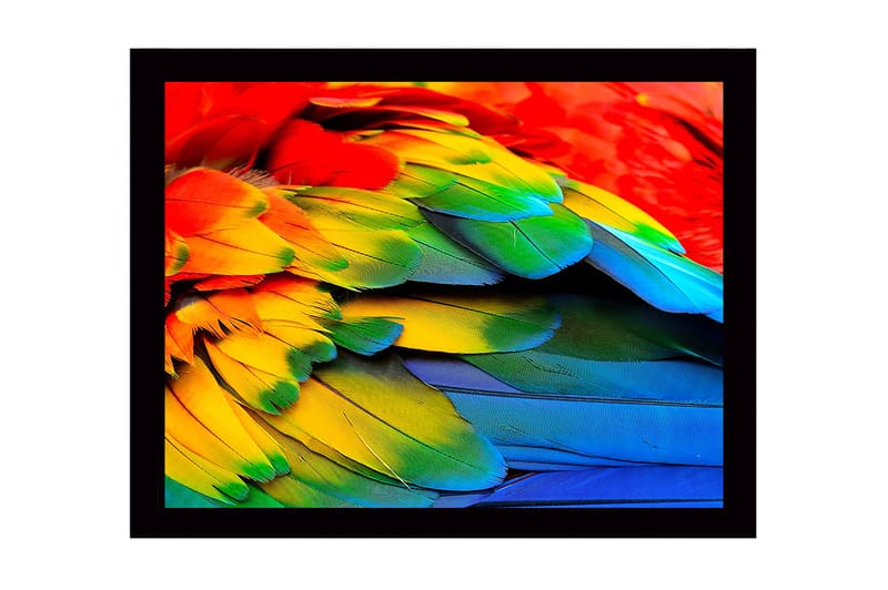 Dekorativ Inramad MDF-målning 41x56 cm - Flerfärgad - Inredning - Tavlor & konst