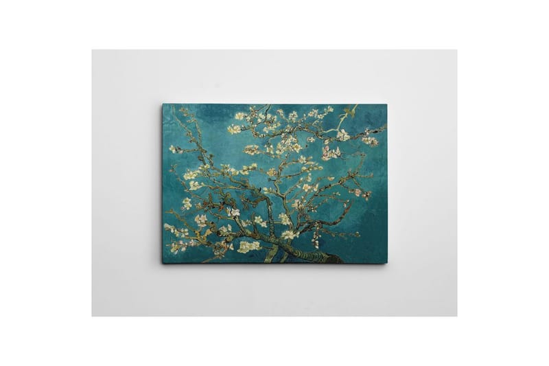Dekorativt Dorosmålning Marro Flerfärgad - 50 x 70 cm - Inredning - Tavlor & konst - Canvastavlor