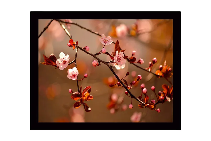 Inramad Canvastavla i trä - 41x56 cm - Blommande körsbärsgrenar i mjuka nyanser, Rosa / Brunt / Grönt